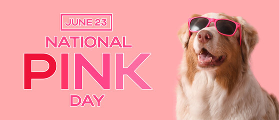 Cute Australian Shepherd dog in sunglasses on pink background