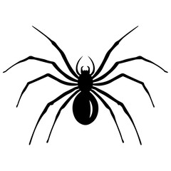 black widow spider