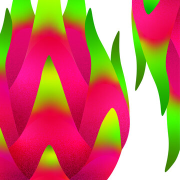 Luscious Fruits, Dragon Fruit