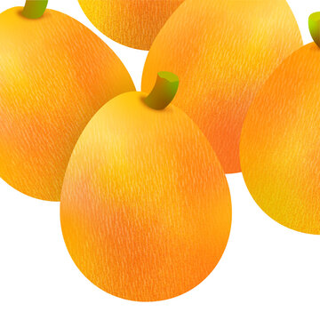 Luscious Fruits, Loquat