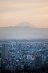View of Mount Fuji from Tokyo