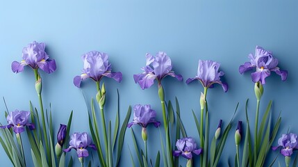 Elegant Iris Flower Mockup Against Soft Pastel Background