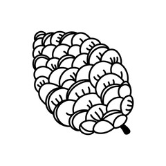 Pine cone vector icon. Seeds of coniferous trees - spruce, fir, cedar. Black and white botanical clipart. Hand drawn forest plant element. Vintage sketch, simple doodle. Festive seasonal decoration