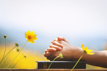 Christian praying with hands together on the holy bible and yellow flower background swaying in the wind
