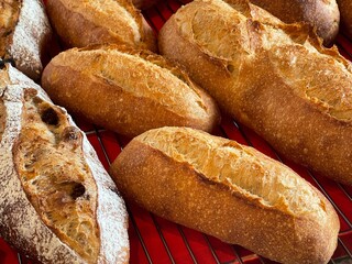 焼きたてのフランスパンとハードパン