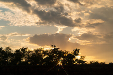 Sun rays through tree canopy (I used 4 and 8 star flare filters on my lens).