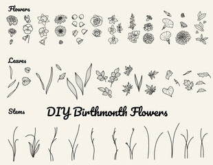 Do-it-yourself Birth Month Flowers, Birth Flowers Vector File