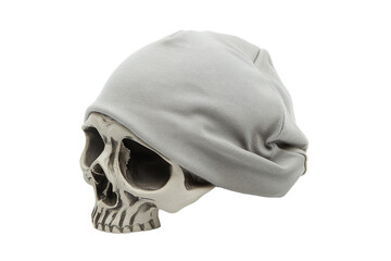 Skull Wearing a Grey Beanie
