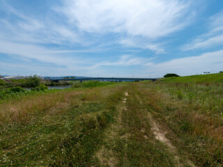 夏の大和川河川敷の風景