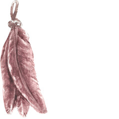 Watercolor pink feather illustration on transparent background.
