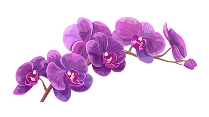 Beautiful illustration of purple orchids in full bloom, showcasing delicate petals and vibrant colors, perfect for floral designs and decor.