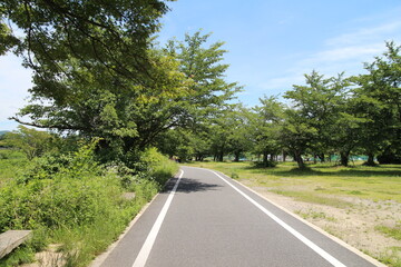 road in the countryside