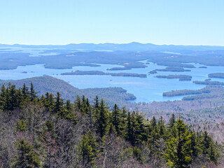 Gazing through pine trees off a mountain cliff view over New Hampshire and Squam Lake. NH hiking trail near the White Mountains in late spring season during the daytime. Peaceful lake viewpoint.