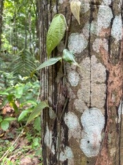 Thiruvananthapuram, central railway station, night, eye-level, illuminated, lights, bustling, travel, trains, passengers, motion, Kerala, India, transportation, architecture, urban, cityscape, station