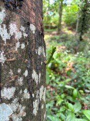 Thiruvananthapuram, central railway station, night, eye-level, illuminated, lights, bustling, travel, trains, passengers, motion, Kerala, India, transportation, architecture, urban, cityscape, station