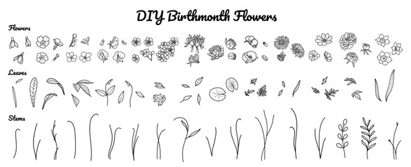 DIY Birth Month Flower Set, Hand-drawn, Minimalist Birth Flowers