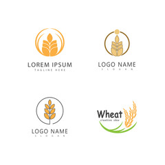 Agriculture wheat logo vector template and symbol