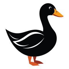 Solid color Gadwall animal vector design