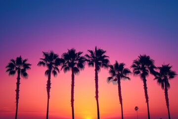 Tropical palm trees: Palm trees silhouetted against a sunset sky, with a gradient from orange to purple, leaving space for text.

