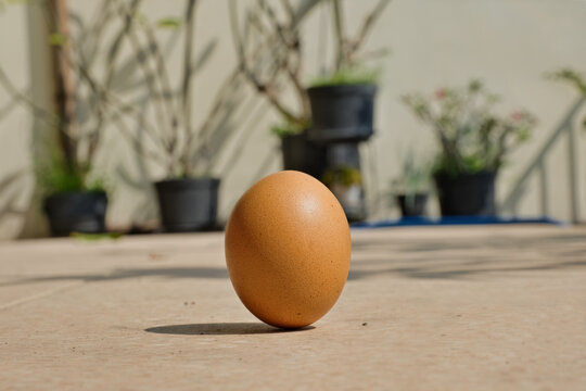 Standing egg happens once a year on Chinese Peh Cun day