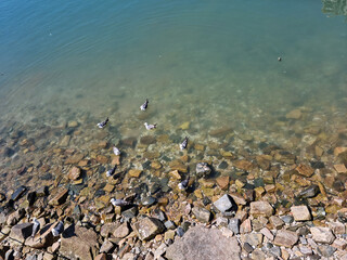 It is a beach with pebbles.