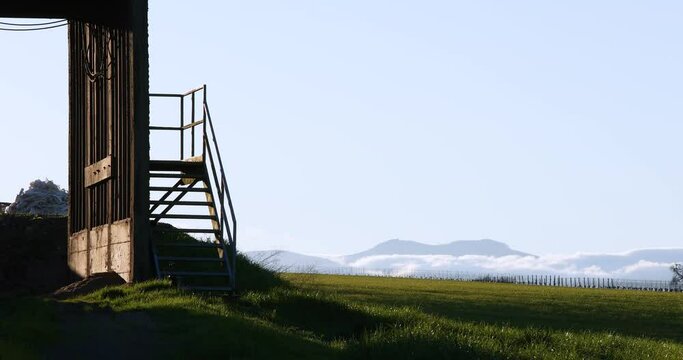 Rural Oregon Agricultural Loading Bay with Stairs and Field in Late Afternoon with Wind in the Grass in Willamette Valley, Oregon - Close and Far Static Shots - 4k60