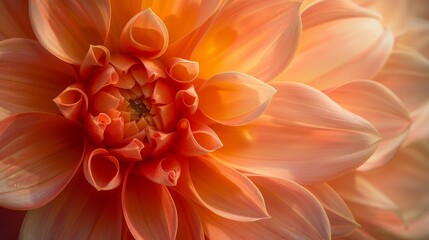 High-resolution macro shot of a dahlia flower, capturing the intricate texture of each petal, showcasing natural grain and delicate details, soft lighting