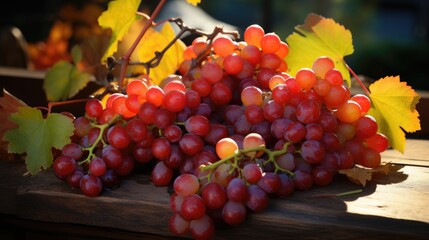 Beautiful appetizing juicy bunches of grapes. The theme of a healthy lifestyle and proper healthy eating.