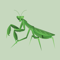 Praying Mantis Animal Simple Flat Design Vector