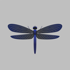 Dragonfly Animal Simple Flat Design Vector