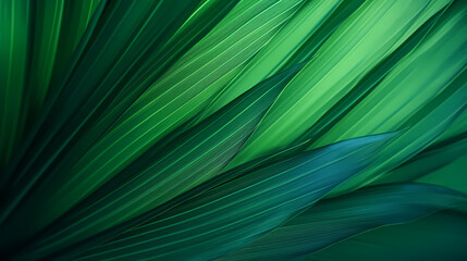 Fototapeta premium Close up of green leaves of palm tree