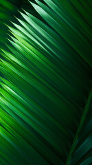 Obraz premium Close up of green leaves of palm tree