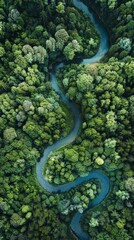 Fototapeta premium Aerial Panorama of River in Forest: Showcasing the meandering path of a river through the forest, with the trees lining the banks and the gentle flow of the water creating a tranquil scene.