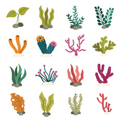 Underwater Plant Vector Set