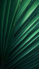Obraz premium Close up of green leaves of palm tree
