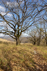 the beginning of autumn, walks in the highlands, panoramic views and glades with dried vegetation