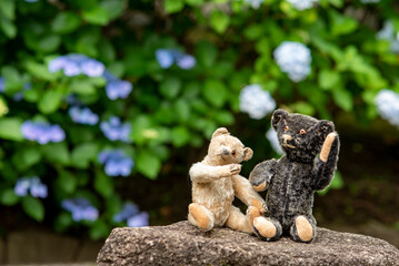 横須賀246　三笠公園5　紫陽花＆テディベア