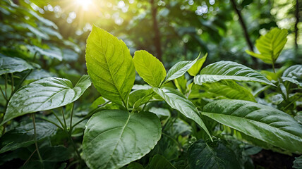 Photo nature of green leaf in garden at summer. natural green leaves plants using as spring background greenery wallpaper Ai generative.
