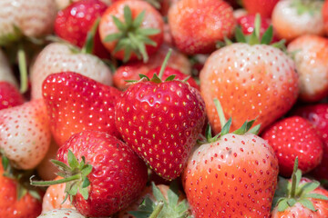 group of strwberry fruit, close up shot