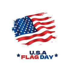 USA FLAG DAY