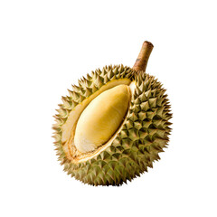 Close-up of a whole durian fruit with spiky shell and creamy flesh exposed, isolated on white background. Exotic tropical delicacy.