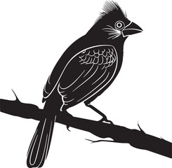 Bird silhouette Picture white background 