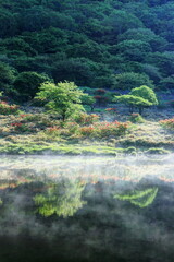 レンゲツツジ咲く新緑の覚満淵