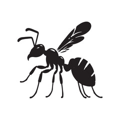 Ant Silhouette Vector Art