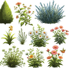 Shrubs and flower set 