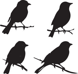Obraz premium Birds silhouette black vector