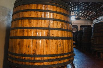Wooden Barrels in a Winery Cellar