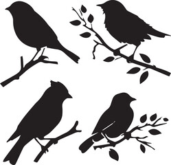 Birds silhouette black vector