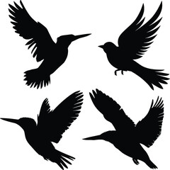 soaring bird silhouette, vector graphic, simple and sleek