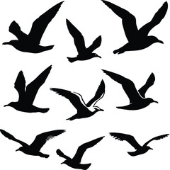 Flying Bird Silhouette Vector Art